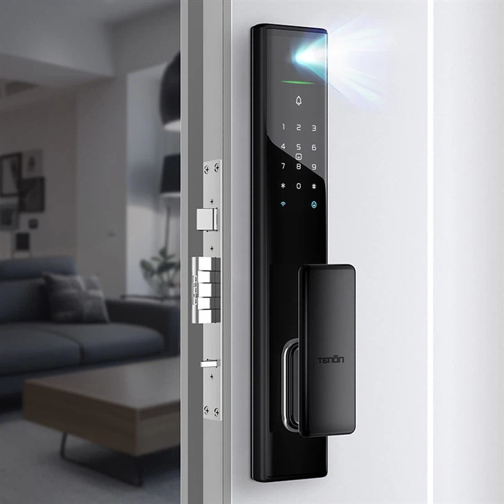 생체 인식 얼굴 ID 스마트 잠금 장치